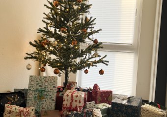 Lippstadt Wunschbaumaktion 2023